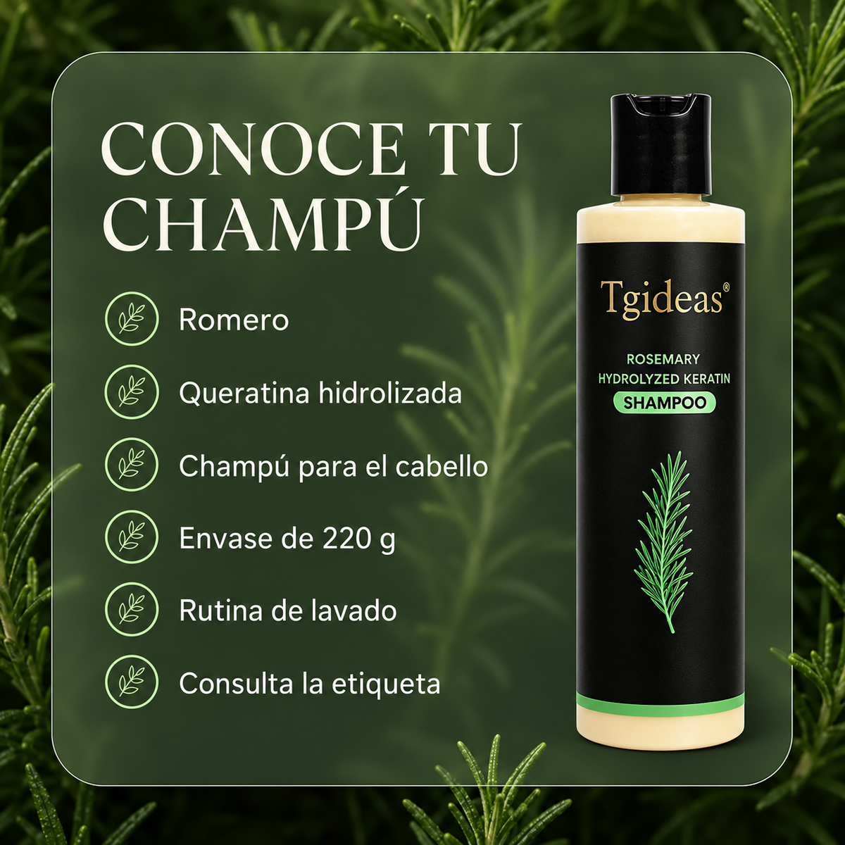 Champú de Romero Anticaída by Omnentials